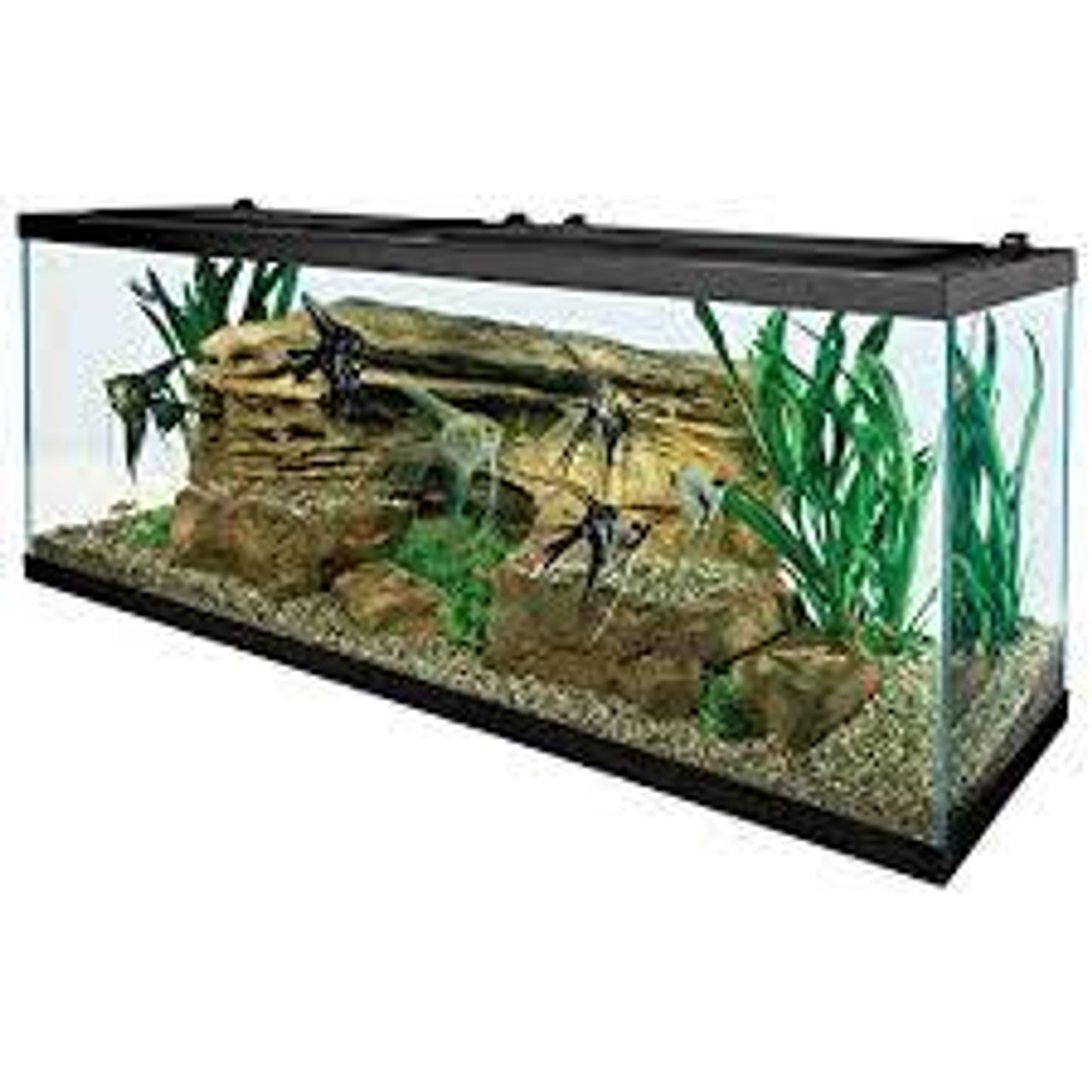 Reservoir - Fish Tank Sizing